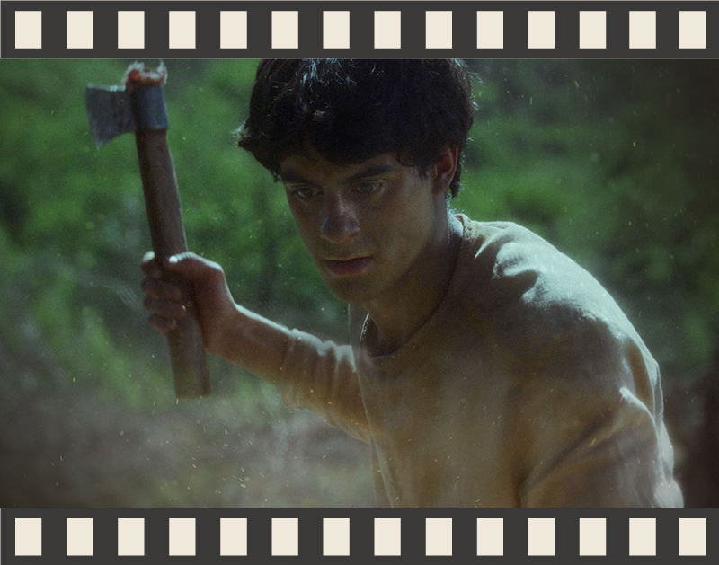 Año 1866. Un joven gaucho atraviesa una región devastada por la guerra. Entre cuatreros, sacerdotes, chamanes y desertores busca salvarse de una leyenda folklórica.