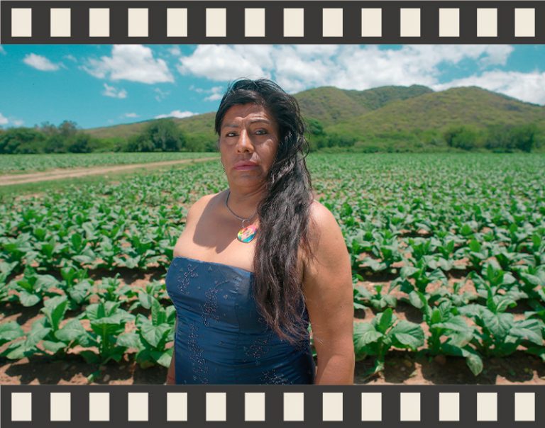 TODAS LAS VIDAS DE CRISTINA VENENO