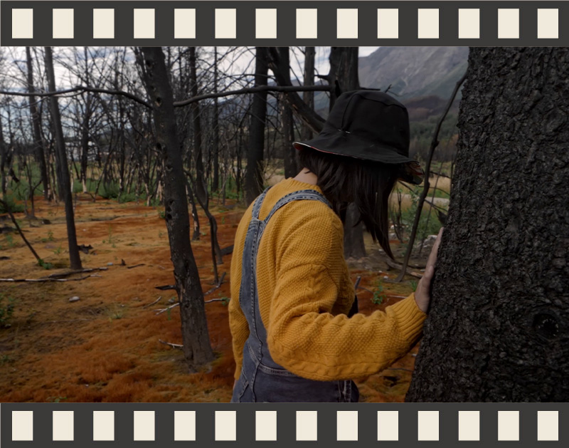 Un incendio arrasa y destruye 13.000 hectáreas de bosque en la Patagonia. Mei, su madre y vecinos transforman la pérdida de sus hogares en fortaleza, reconstruyendo sus vidas desde la unión y la esperanza.